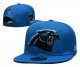 Carolina Panthers Blue Cap