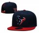 Houston Texans Blue and Red Cap