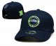 Seattle Seahawks Navy Cap