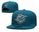 Miami Dolphins Blue Cap