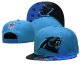Carolina Panthers Blue Cap