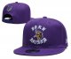 Minnesota Vikings Purple Cap