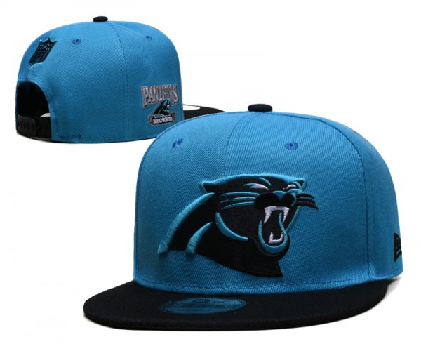 Carolina Panthers Blue Cap
